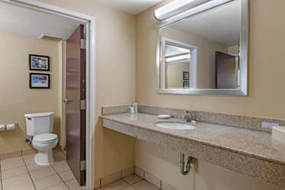 COMFORT INN AND SUITES 4