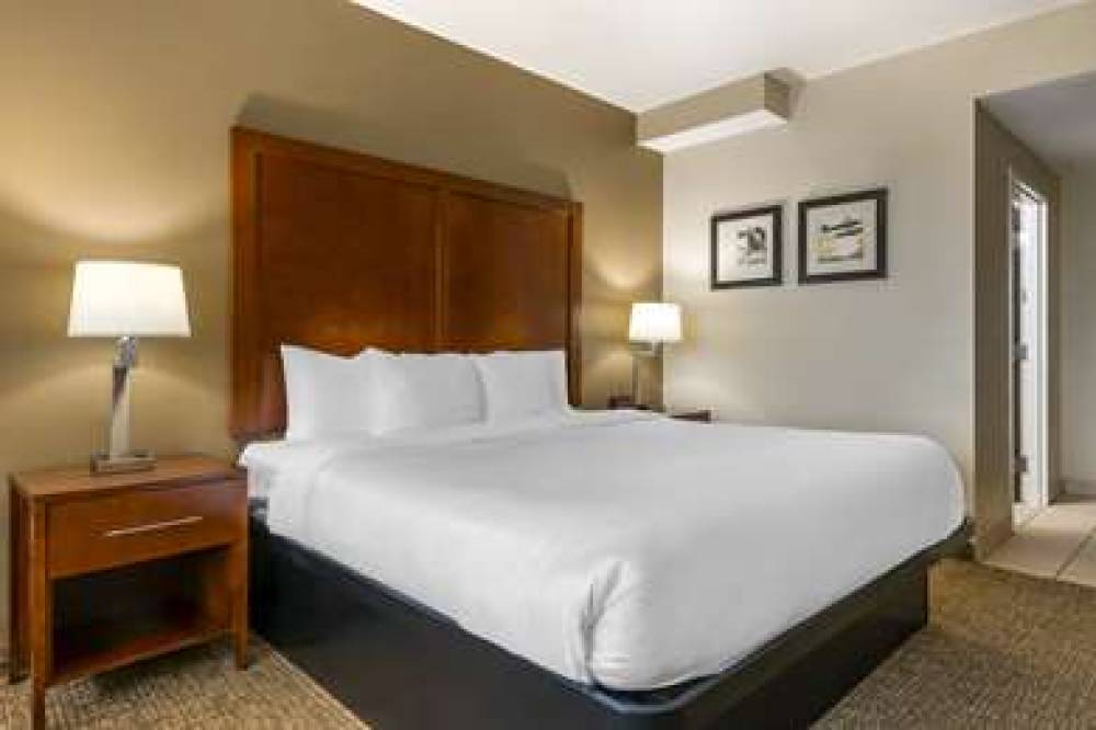 COMFORT INN AND SUITES 1