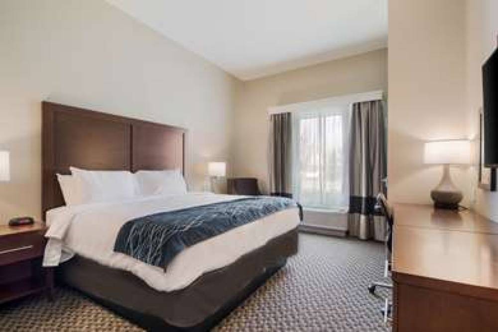 COMFORT INN AND SUITES 6