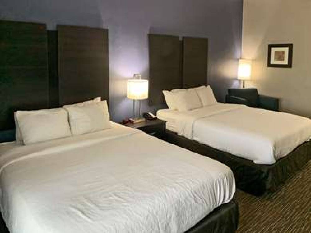COMFORT INN AND SUITES COLUMBUS NOR 10