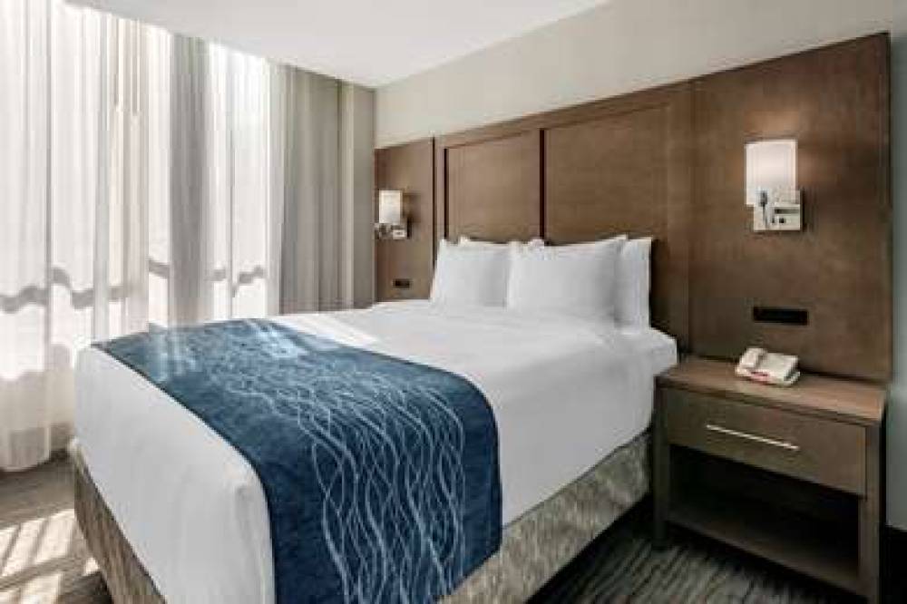 COMFORT INN AND SUITES DOWNTOWN-POR 2