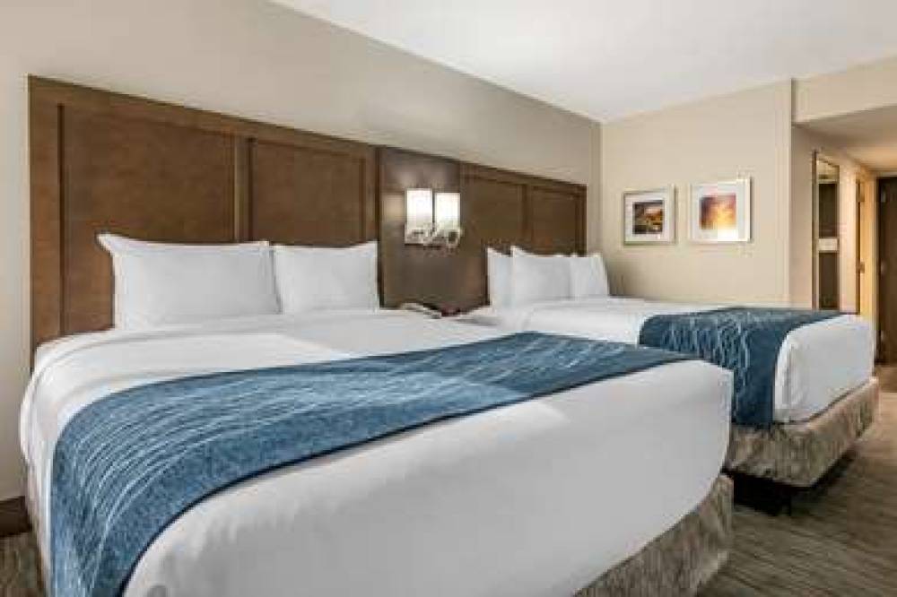 COMFORT INN AND SUITES DOWNTOWN-POR 4