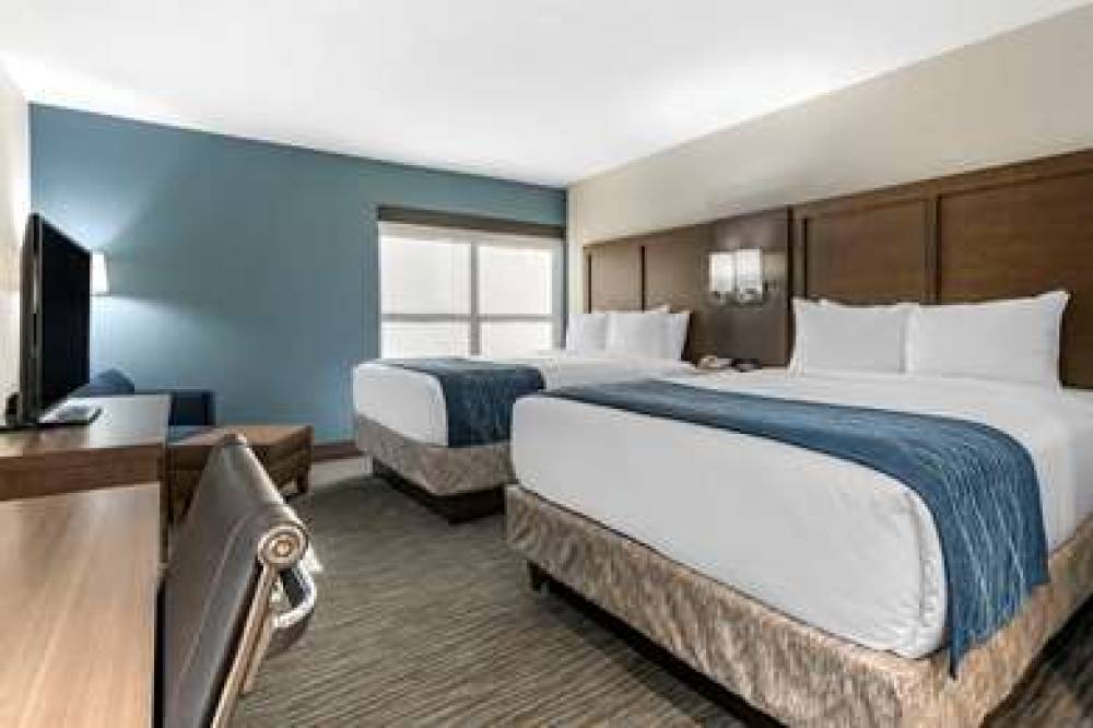 COMFORT INN AND SUITES DOWNTOWN-POR 3