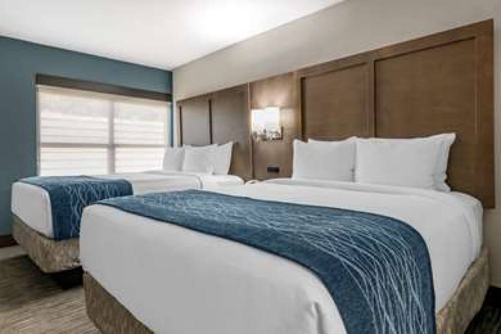 COMFORT INN AND SUITES DOWNTOWN-POR 5