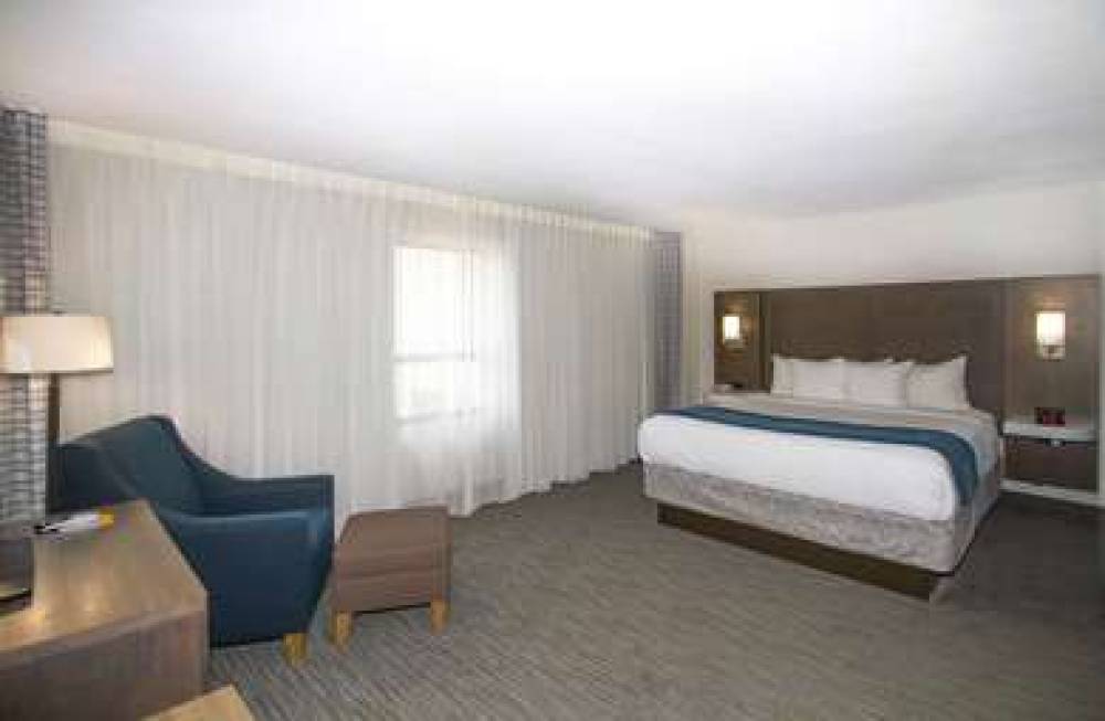 COMFORT INN AND SUITES DOWNTOWN-POR 6