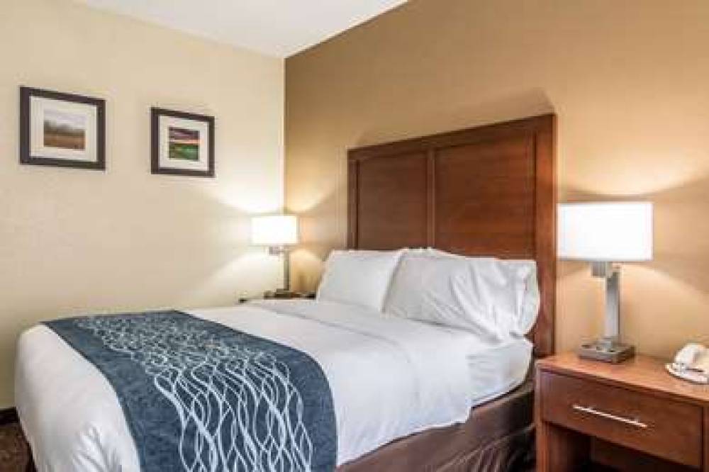 COMFORT INN AND SUITES - HANNIBAL 8