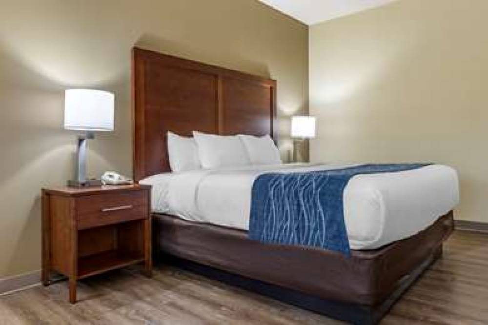 COMFORT INN AND SUITES HIGH POINT - 7