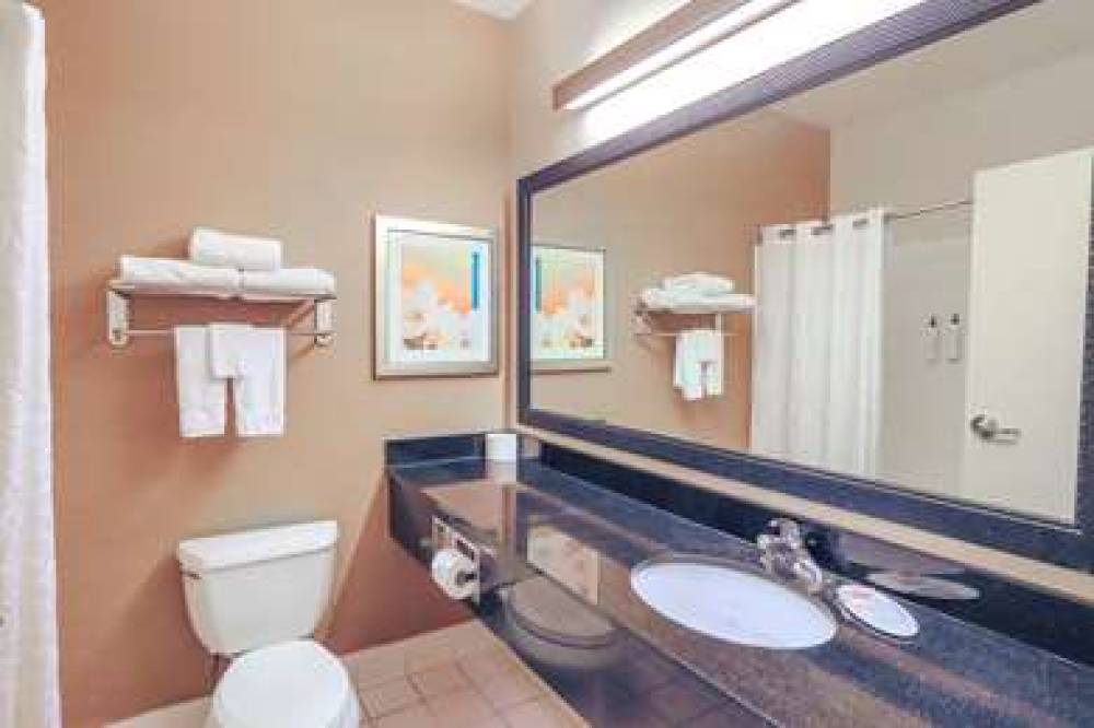 COMFORT INN AND SUITES HOUSTON 1