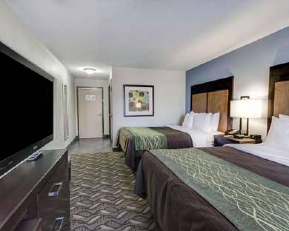 Comfort Inn And Suites I-10 Airport 9