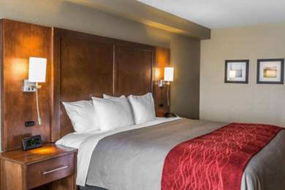 COMFORT INN AND SUITES KNOXVILLE WE 9