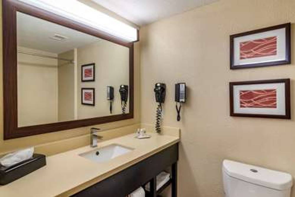 Comfort Inn And Suites Lithia Sprin