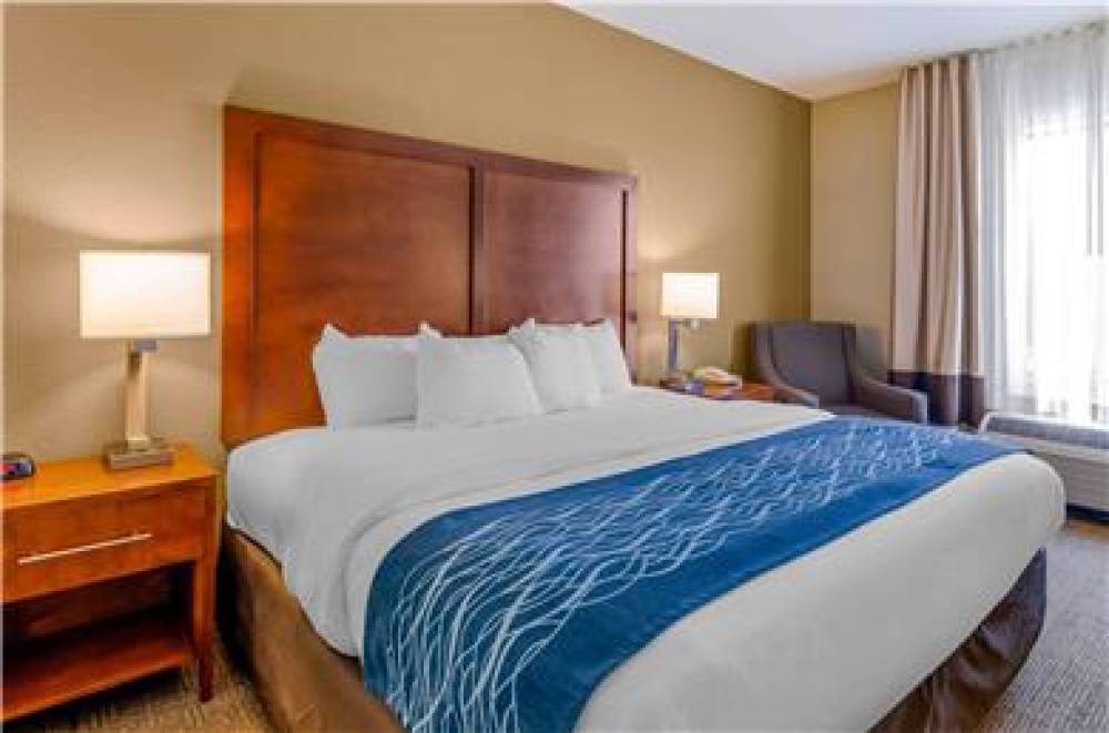 COMFORT INN AND SUITES LYNCHBURG AI 8