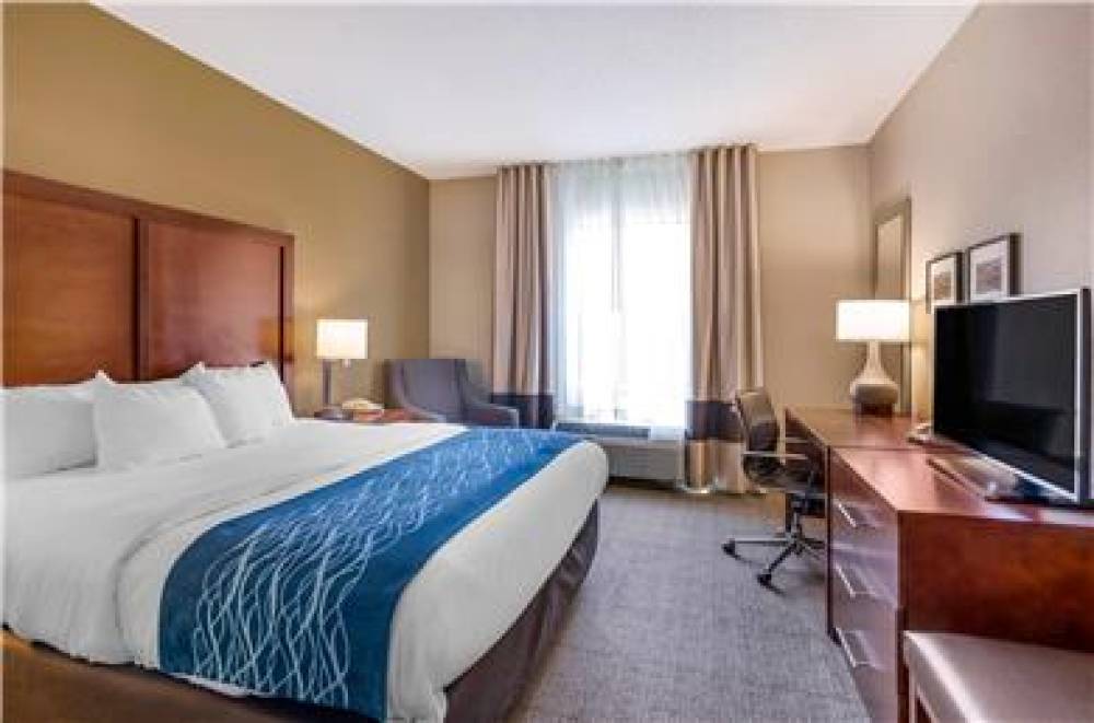 COMFORT INN AND SUITES LYNCHBURG AI 7