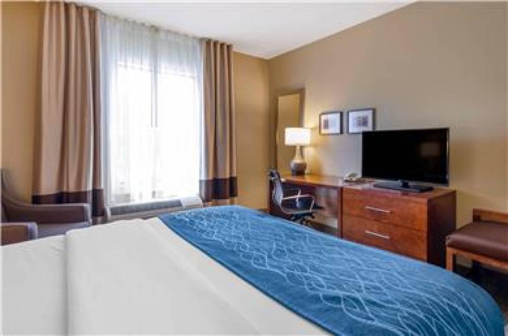 COMFORT INN AND SUITES LYNCHBURG AI 9