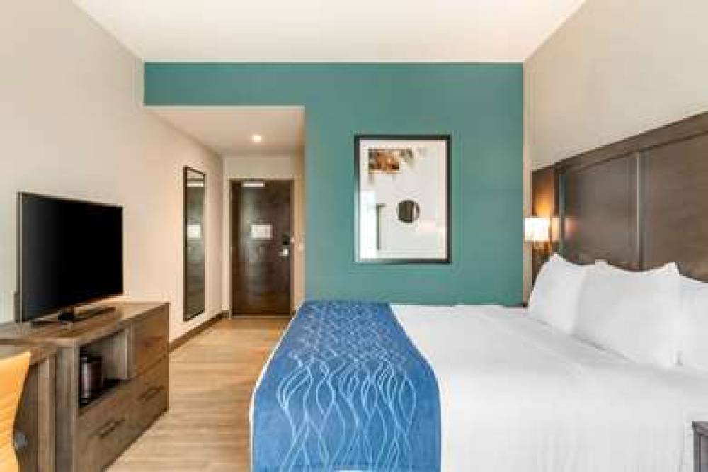 COMFORT INN AND SUITES MIAMI INTERN 10