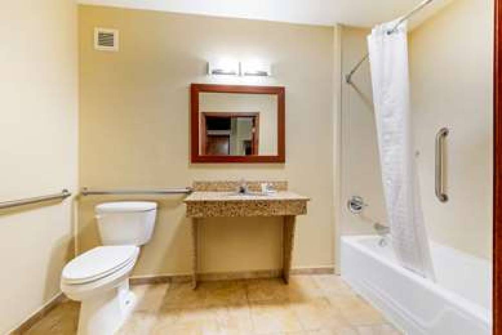 COMFORT INN AND SUITES MICHIGAN CIT 2