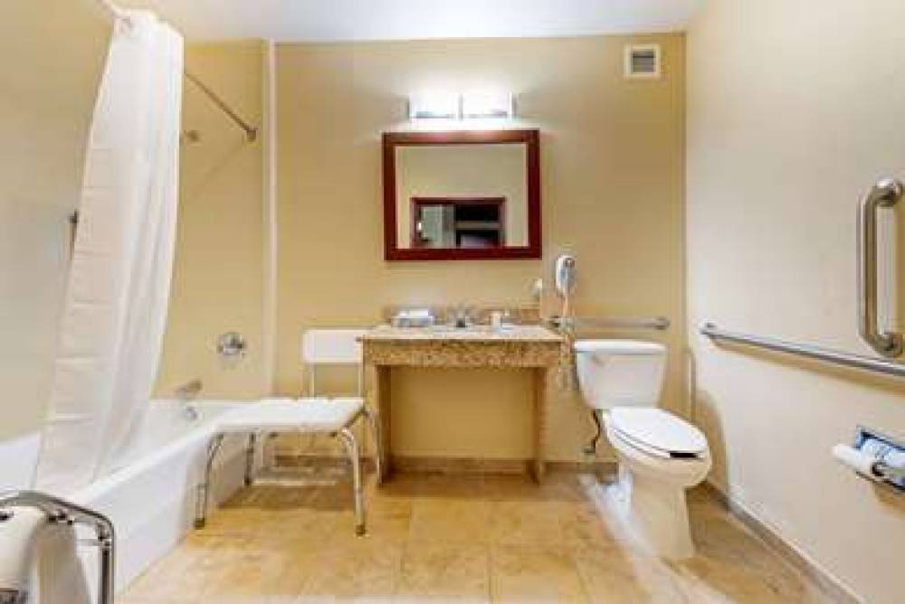 COMFORT INN AND SUITES MICHIGAN CIT 4