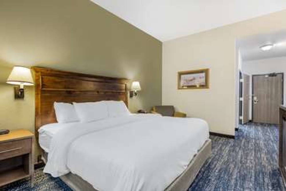 COMFORT INN AND SUITES MT RUSHMORE 8