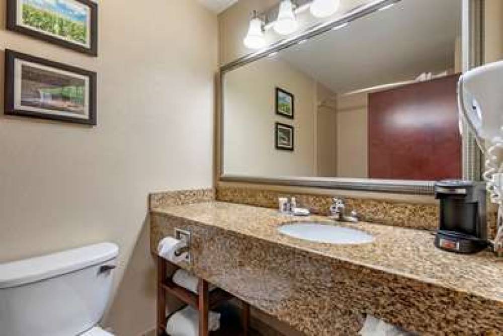 Comfort Inn And Suites Muncie 8