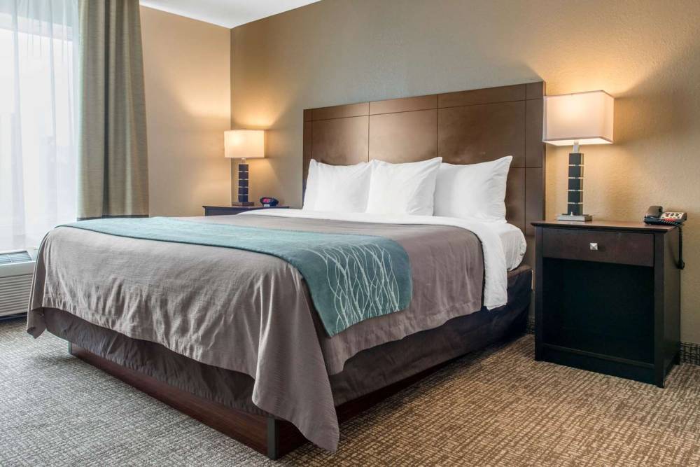 Comfort Inn And Suites Porter 4