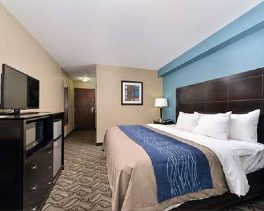 COMFORT INN AND SUITES SPRINGFIELD 6