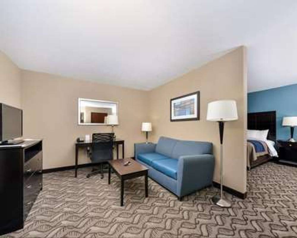 COMFORT INN AND SUITES SPRINGFIELD 10