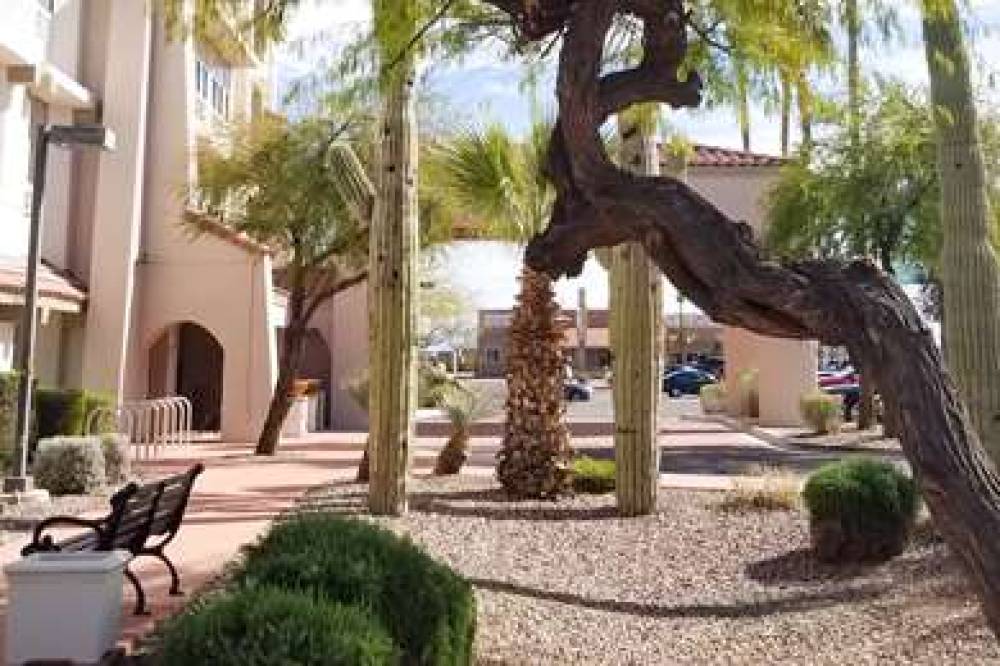 City Express By Marriott Tempe