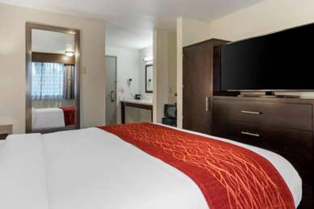 COMFORT INN AND SUITES TIGARD NEAR 10