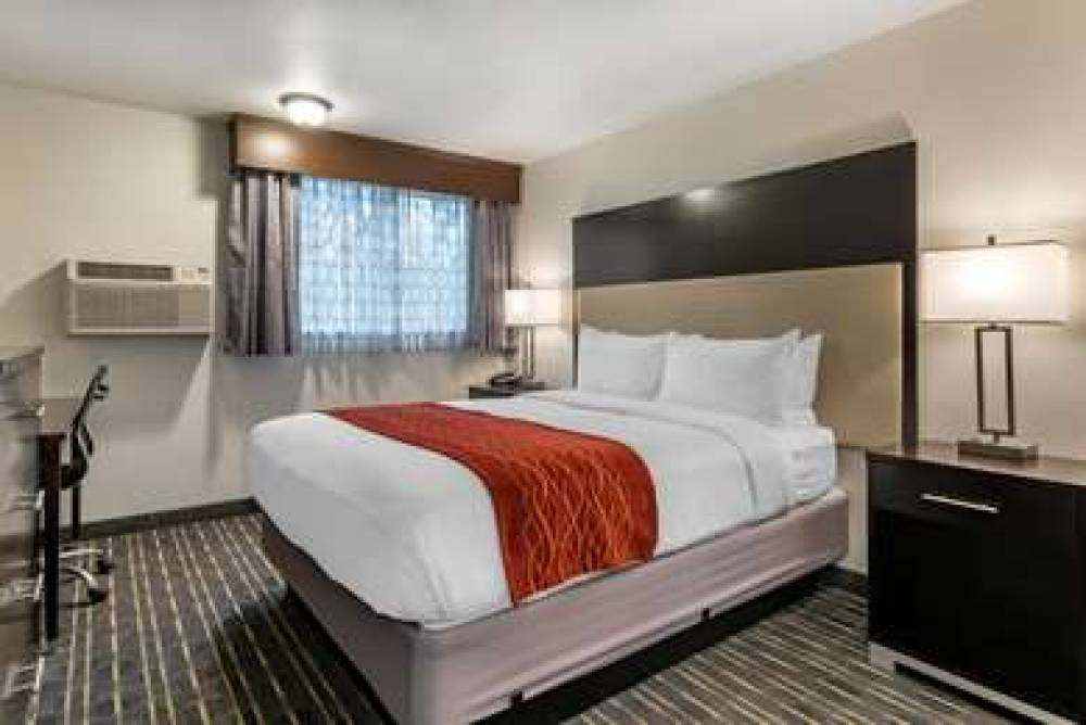COMFORT INN AND SUITES TIGARD NEAR 8