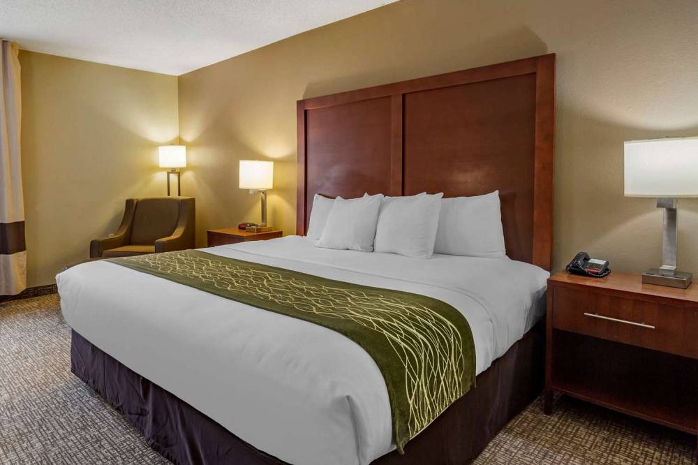 Comfort Inn Apex - Holly Springs 4