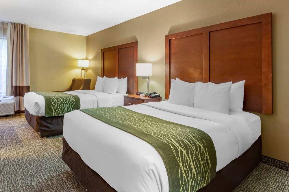 Comfort Inn Apex - Holly Springs 10