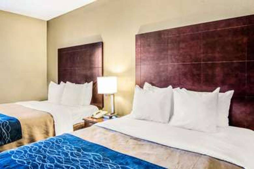 COMFORT INN ATLANTA DOWNTOWN SOUTH 9