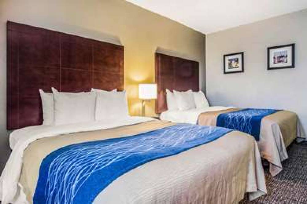 COMFORT INN ATLANTA DOWNTOWN SOUTH 8