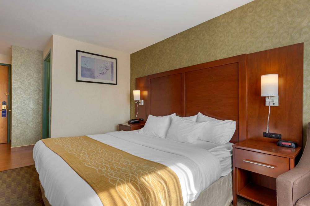 Comfort Inn Brooklyn 7