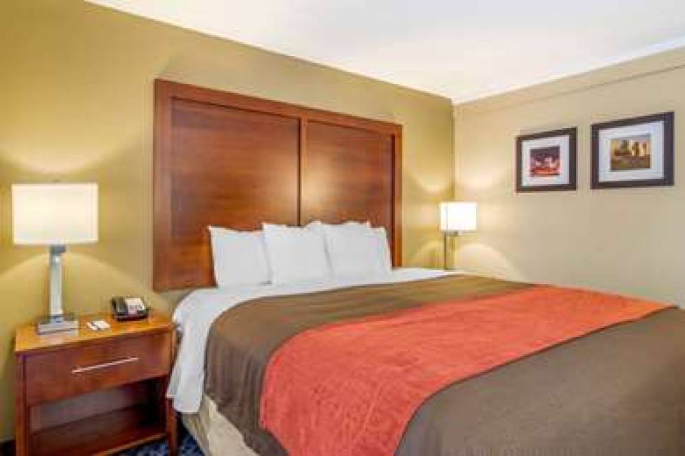 Comfort Inn Central 3