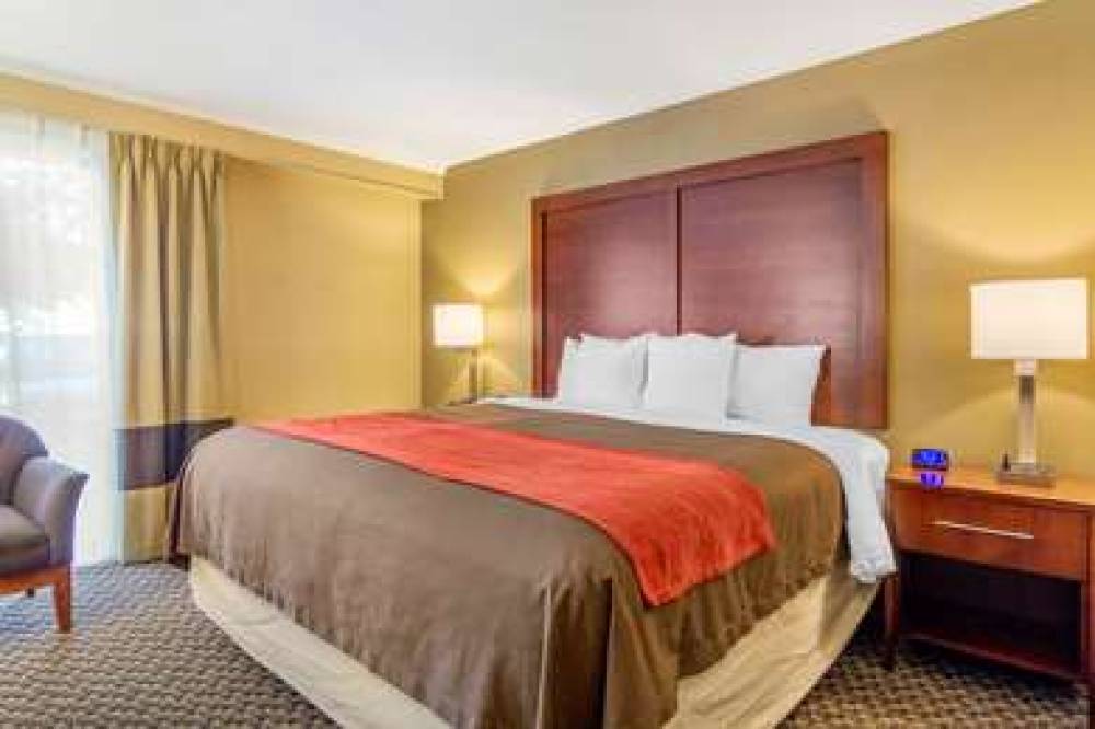 Comfort Inn Central 5