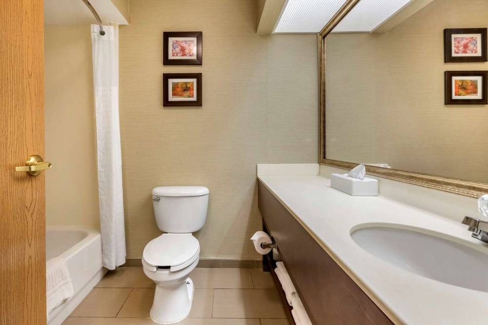 Comfort Inn Charlotte 10