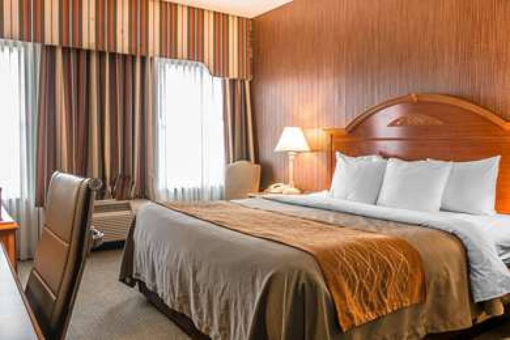 Comfort Inn Chelsea 8