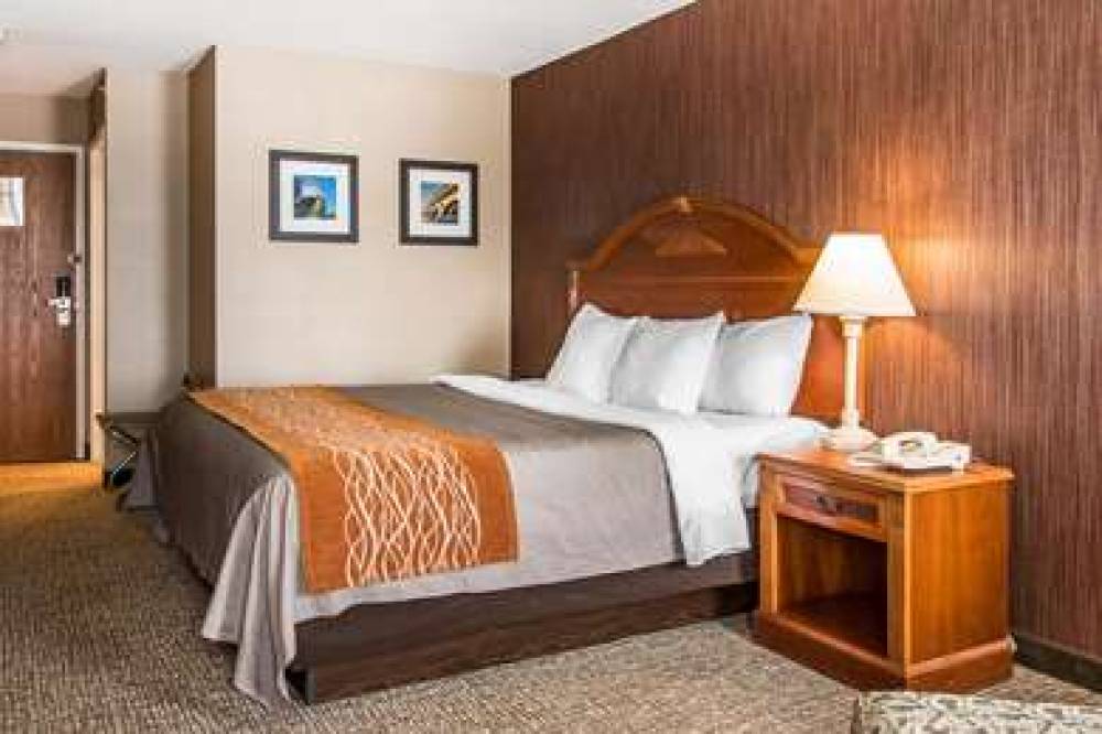 Comfort Inn Chelsea 10