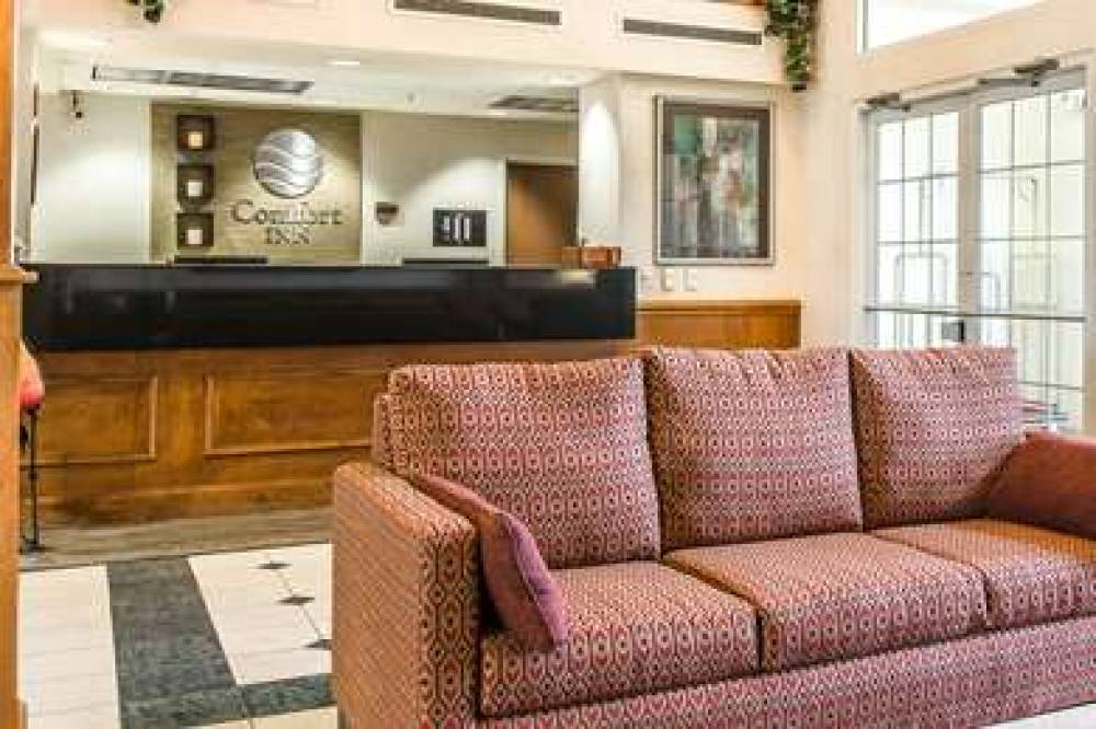 Comfort Inn Chelsea 5