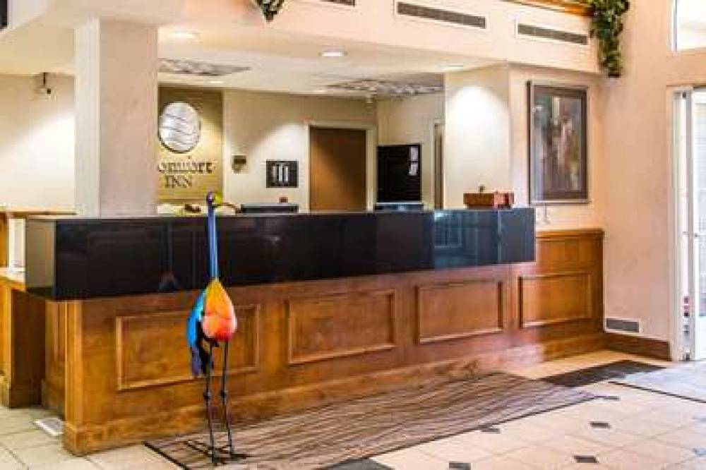 Comfort Inn Chelsea 4