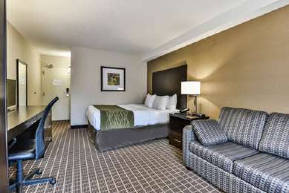 Comfort Inn 5