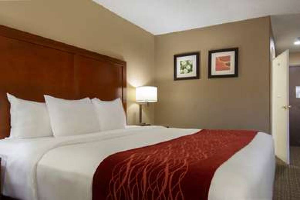 Comfort Inn 7