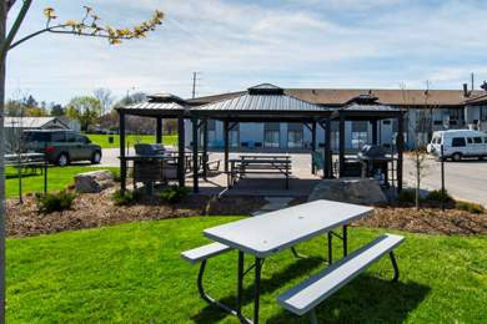 Comfort Inn 7