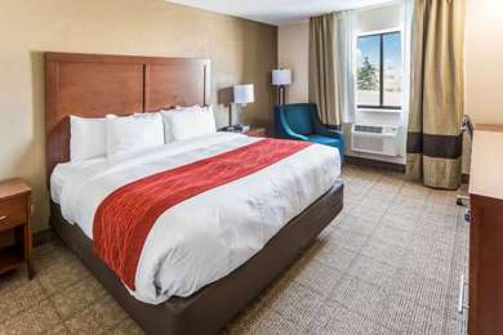 COMFORT INN 8