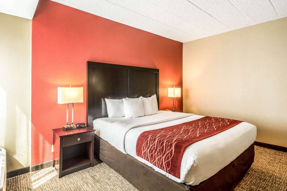 Comfort Inn Convention Center-Chicago O'hare Airport 8