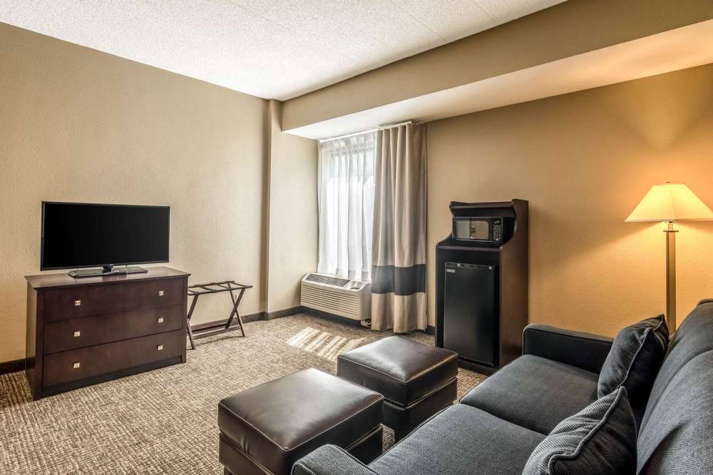 Comfort Inn Convention Center-Chicago O'hare Airport 10