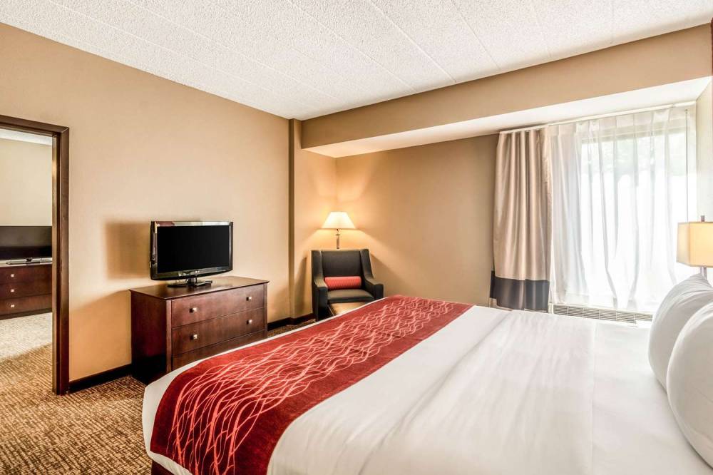Comfort Inn Convention Center-Chicago O'hare Airport 5