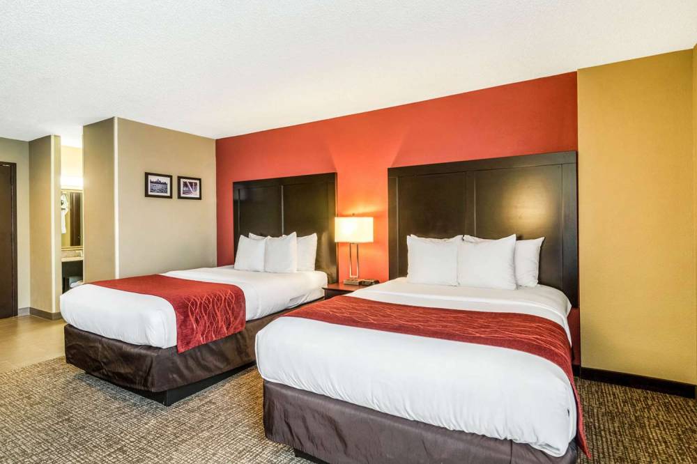 Comfort Inn Convention Center-Chicago O'hare Airport 7