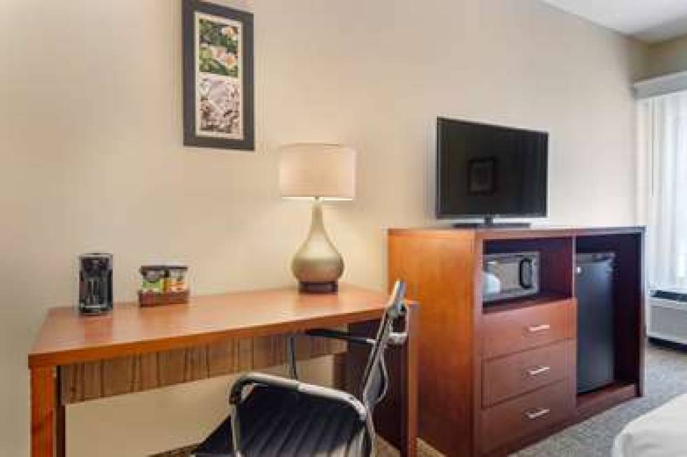 Comfort Inn Douglasville 6